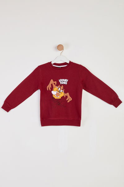 Erkek Çocuk Bordo Baskılı Sweatshirt - 26439 