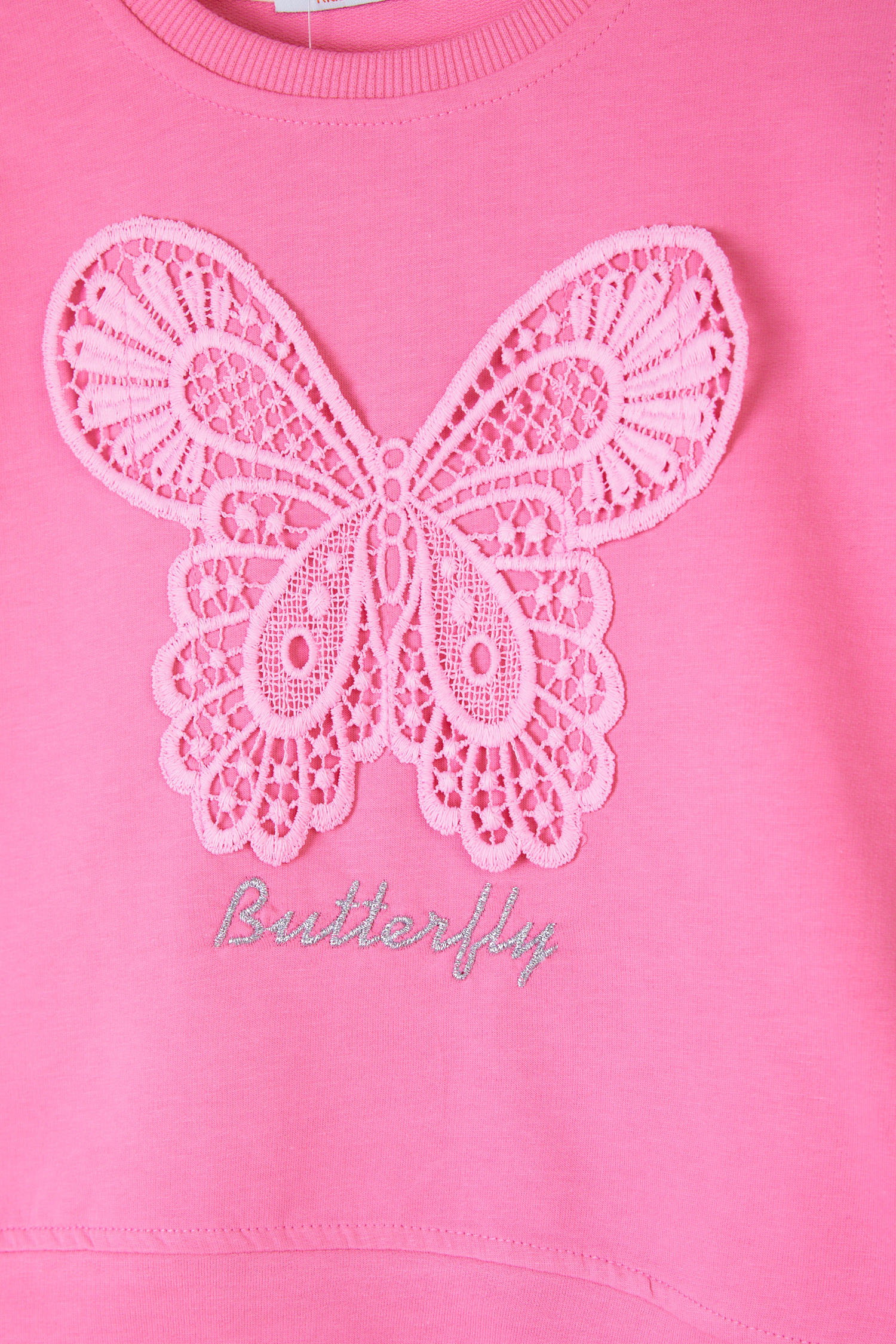Kız Çocuk Pembe Kelebek Nakışlı Sweatshirt - 26106 - 2